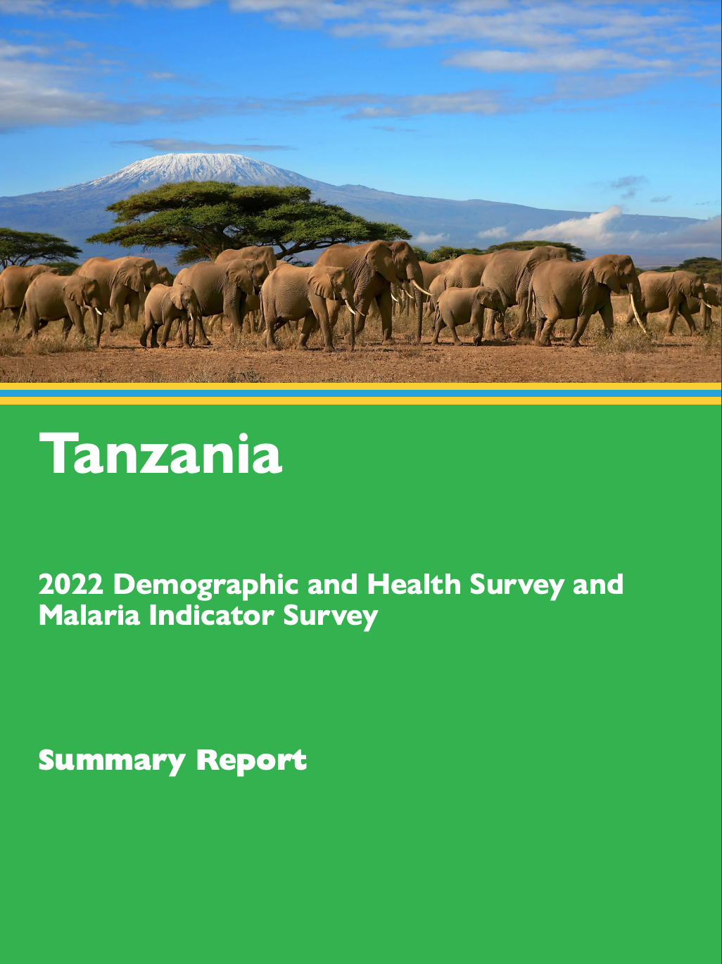 DHS DASHBOARD NBS TANZANIA